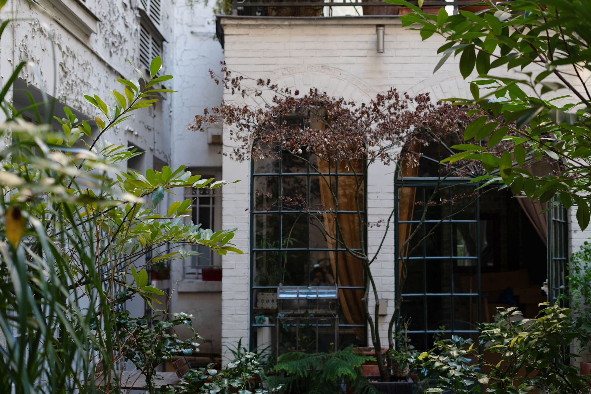 Planted courtyard of the Hauteville project